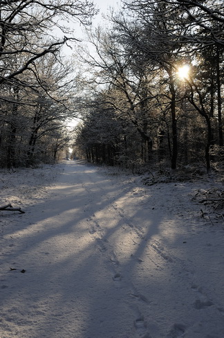 05. Winterlandschap_XL